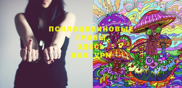 шишки Богородицк