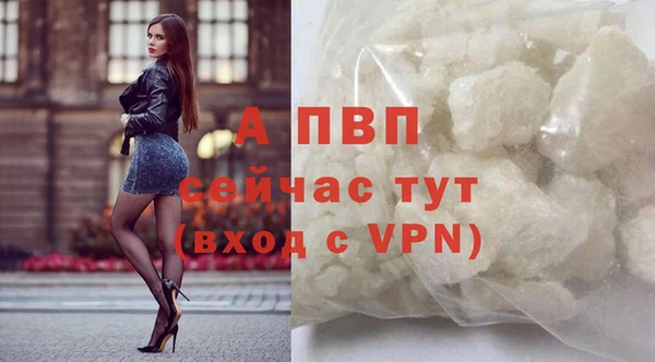 spice Бородино