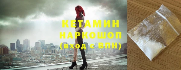 шишки Богородицк