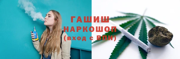 spice Бородино