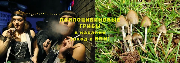 ГАЛЛЮЦИНОГЕННЫЕ ГРИБЫ Богородск