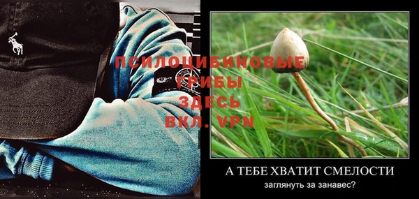 spice Бородино