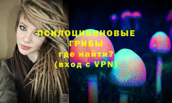 spice Бородино