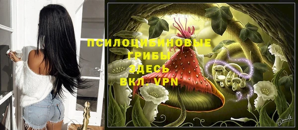 герыч Бронницы