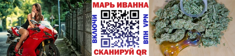 Конопля гибрид  Котово 